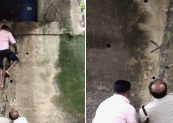 പാലത്തിന്റെ ഗർഡറിന് അടിയിൽ ഒളിപ്പിച്ച നിലയിൽ  210 ലിറ്റർ വാഷ് !! ബത്തേരിയിൽ സംസ്ഥാന പാതയിലാണ് ഈ സംഭരണം!! സൂക്ഷിച്ചതൊക്കെയും പൊക്കിയെടുത്ത് എക്‌സൈസ് ഉദ്യോ​ഗസ്ഥർ