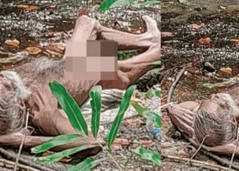 എല്ലും തോലുമായ അന്ധ വയോധികനെ ചതുപ്പിൽ വീണ നിലയിൽ കണ്ടെത്തി; ഉടുതുണി പോലുമില്ല; ആകെ ആശ്രയമായുണ്ടായിരുന്ന സഹോദരി അവശനിലയിൽ; മകന് മാനസീക വെല്ലുവിളിയും; കണ്ടുനില്ക്കാനാവാത്ത കാഴ്ച ചേർത്തല വയലാറിൽ