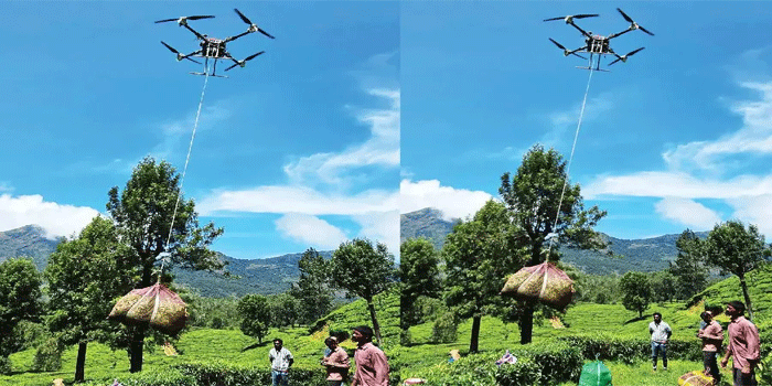 തേയിലത്തോട്ടങ്ങൾക്ക് മീതെ ഇനി ഡ്രോണുകൾ; ഫാക്ടറിയിലേക്ക് കൊളുന്തുകൾ എത്തിക്കാൻ  മൂന്നാറിൽ ഡ്രോണുകൾ റെ‍ഡി; 50 കിലോഗ്രാം വരെ ഭാരം വഹിക്കാൻ കഴിയുന്ന ആളില്ലാ വ്യോമ വാഹനങ്ങളാണ് പരീക്ഷണ ഘട്ടത്തിലിറക്കുന്നത്