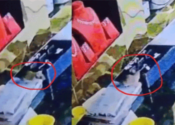 10 ലക്ഷം രൂപയുടെ വജ്രാഭരണങ്ങൾ കാണാതായി; സിസിടിവി പരിശോധിച്ചപ്പോൾ ഞെട്ടി! ‘കള്ളൻ മാളത്തിൽ ’- ഒരു എലി!!