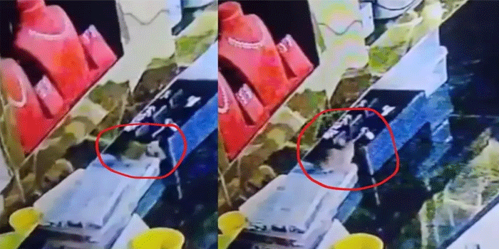 10 ലക്ഷം രൂപയുടെ വജ്രാഭരണങ്ങൾ കാണാതായി; സിസിടിവി പരിശോധിച്ചപ്പോൾ ഞെട്ടി! ‘കള്ളൻ മാളത്തിൽ ’- ഒരു എലി!!