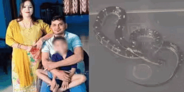 ഭർത്താവിനെ ഉറക്കഗുളിക നൽകി മയക്കി; പുതപ്പിനകത്തേയ്ക്ക് പാമ്പിനെ കയറ്റി വിട്ടു; പാമ്പുകടിയേറ്റ് യുവാവ് മരിച്ച സംഭവം കൊലപാതകം! 20 ലക്ഷം രൂപയുടെ ഇൻഷുറൻസ് തുക കൈക്കലാക്കിഡ്രൈവറുടെ ഒപ്പം ജീവിക്കാൻ ഭാര്യ നടത്തിയ ക്രൂര കൃത്യം; യുവതിയും കാമുകനും രണ്ട് പാമ്പാട്ടികളും അറസ്റ്റിൽ