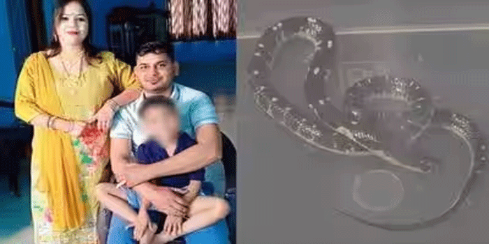 ഭർത്താവിനെ ഉറക്കഗുളിക നൽകി മയക്കി; പുതപ്പിനകത്തേയ്ക്ക് പാമ്പിനെ കയറ്റി വിട്ടു; പാമ്പുകടിയേറ്റ് യുവാവ് മരിച്ച സംഭവം കൊലപാതകം! 20 ലക്ഷം രൂപയുടെ ഇൻഷുറൻസ് തുക കൈക്കലാക്കിഡ്രൈവറുടെ ഒപ്പം ജീവിക്കാൻ ഭാര്യ നടത്തിയ ക്രൂര കൃത്യം; യുവതിയും കാമുകനും രണ്ട് പാമ്പാട്ടികളും അറസ്റ്റിൽ
