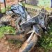 അമിത വേഗത്തിലെത്തിയ സ്വകാര്യ ബസ് ബൈക്ക് യാത്രികരെ ഇടിച്ചു തെറുപ്പിച്ചു, അച്ഛനും മകനും ദാരുണാന്ത്യം, പ്രതിഷേധവുമായി നാട്ടുകാർ