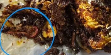 പോലീസ് കാന്റീനിലെ മീന് വറുത്തതില് ചത്ത അട്ട, സ്ഥാപനം അടച്ചുപൂട്ടി കോര്പ്പറേഷന്, കാന്റീന് പ്രവര്ത്തിച്ചത് വൃത്തിഹീനമായ സാഹചര്യത്തില്