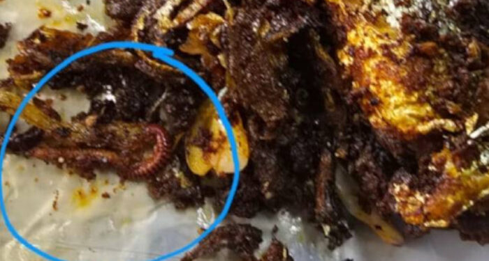 പോലീസ് കാന്റീനിലെ മീന് വറുത്തതില് ചത്ത അട്ട, സ്ഥാപനം അടച്ചുപൂട്ടി കോര്പ്പറേഷന്, കാന്റീന് പ്രവര്ത്തിച്ചത് വൃത്തിഹീനമായ സാഹചര്യത്തില്
