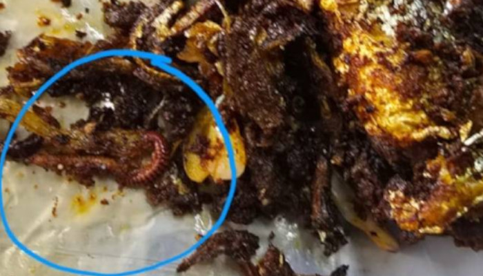 പോലീസ് കാന്റീനിലെ മീന് വറുത്തതില് ചത്ത അട്ട, സ്ഥാപനം അടച്ചുപൂട്ടി കോര്പ്പറേഷന്, കാന്റീന് പ്രവര്ത്തിച്ചത് വൃത്തിഹീനമായ സാഹചര്യത്തില്