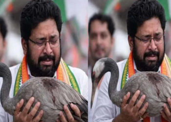 ശബരിനാഥന്റെ കൊക്കിനു ആദരാഞ്ജലികൾ അർപ്പിക്കുന്നു… ആർ സുഗതൻ സത്യപ്രതിജ്ഞയ്ക്കുപിന്നാലെ ശബരീനാഥനെ പരിഹസിച്ച് ബിജെപി നേതാക്കള്‍