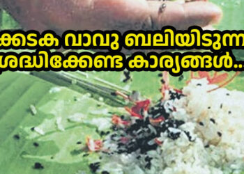 ലളിതമായ ഭക്ഷണവും  സ്വാതികമായ ജീവിതശൈലിയും;  വ്രതം എടുത്ത് ശുദ്ധി വരുത്തിയ ശേഷം  പൂർവികരുടെ ആത്മശാന്തിക്കായി ബലിതർപ്പണം..;  കർക്കടക വാവു ബലിയിടുന്നവർ  ശ്രദ്ധിക്കേണ്ട കാര്യങ്ങൾ….