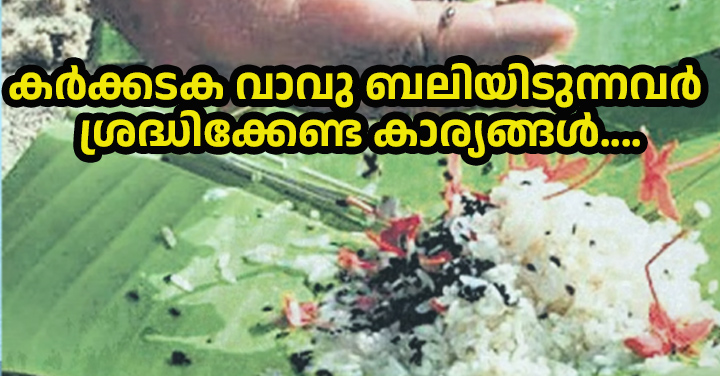 ലളിതമായ ഭക്ഷണവും സ്വാതികമായ ജീവിതശൈലിയും; വ്രതം എടുത്ത് ശുദ്ധി വരുത്തിയ ശേഷം പൂർവികരുടെ ആത്മശാന്തിക്കായി ബലിതർപ്പണം..; കർക്കടക വാവു ബലിയിടുന്നവർ ശ്രദ്ധിക്കേണ്ട കാര്യങ്ങൾ….