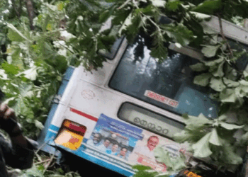 നെൻമാറ പോത്തുണ്ടിയിൽ കെഎസ്ആർടിസി ബസ് താഴ്ചയിലേക്ക് മറിഞ്ഞു; ഒരു സ്ത്രീ മരിച്ചു, തിരിച്ചറിഞ്ഞിട്ടില്ല; നിരവധി പേർക്ക് പരിക്ക്