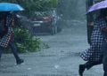തോരാ മഴ; സംസ്ഥാനത്തെ 7 ജില്ലകളിലെ വിദ്യാഭ്യാസ സ്ഥാപനങ്ങൾക്ക് നാളെ അവധി, കണ്ണൂരിൽ മൂന്ന് താലൂക്കുകളിലും അവധി; യാത്രകളിൽ ജാഗ്രത വേണം