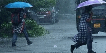രണ്ട് ദിവസം കൂടി തീവ്ര മഴ; ഏഴ് ജില്ലകളിൽ വിദ്യാഭ്യാസ സ്ഥാപനങ്ങൾക്ക് ഇന്ന് അവധി, അതീവ ജാ​ഗ്രതാ മുന്നറിയിപ്പ്