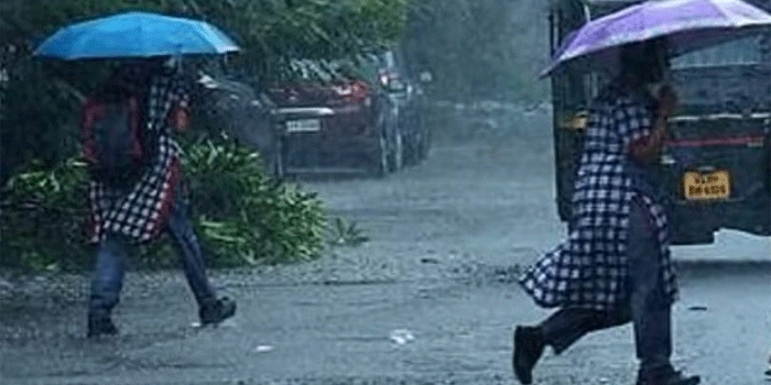 രണ്ട് ദിവസം കൂടി തീവ്ര മഴ; ഏഴ് ജില്ലകളിൽ വിദ്യാഭ്യാസ സ്ഥാപനങ്ങൾക്ക് ഇന്ന് അവധി, അതീവ ജാ​ഗ്രതാ മുന്നറിയിപ്പ്