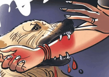ശ്രീ പത്മനാഭസ്വാമി ക്ഷേത്രത്തിൽ തെരുവുനായയുടെ ആക്രമണം; ദർശനത്തിനെത്തിയ രണ്ടുപേർക്ക് കടിയേറ്റു, നാല് ജീവനക്കാർക്കും പരിക്ക്