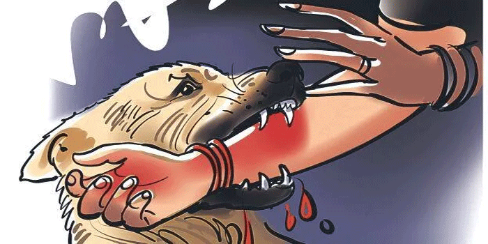 ശ്രീപത്മനാഭസ്വാമി ക്ഷേത്രത്തിൽ തെരുവുനായയുടെ ആക്രമണം; ദർശനത്തിനെത്തിയ രണ്ടുപേർക്ക് കടിയേറ്റു, നാല് ജീവനക്കാർക്കും പരിക്ക്