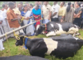 പ്രളയത്തിൽ 11 പശുക്കളെ നഷ്ടപ്പെട്ട കുടുംബത്തിന് കൈത്താങ്ങ്; 4 പശുക്കളും കാലിത്തീറ്റയും ധനസഹായവും നൽകി; ‘സർക്കാർ ഒപ്പമുണ്ടെന്ന് പറയുക മാത്രമല്ല, പ്രവർത്തിച്ച് ബോധ്യപ്പെടുത്തുകയാണ് ലക്ഷ്യം’- മന്ത്രി ബിന്ദു കൃഷ്ണ