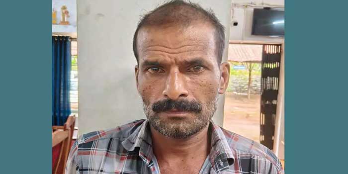 മദ്യലഹരിയിൽ മകൻ അമ്മയെ കഴുത്തു ഞെരിച്ച് കൊല്ലാൻ ശ്രമം, മനംനൊന്ത് 80 കാരി ജീവനൊടുക്കാൻ ശ്രമിച്ചു