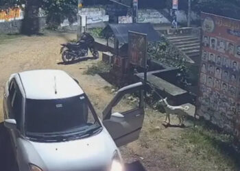നായയെ  കാറില്‍കൊണ്ടുവന്ന് തെരുവിലിറക്കിവിട്ടു, പിന്നാലെ കരഞ്ഞോടിയ നായയെ കാര്‍ പിന്നിലേക്കെടുത്ത് ഇടിച്ചുകൊന്നു, വാഹനം ഇടിപ്പിച്ചത് നിരവധി തവണ
