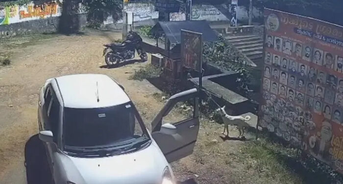 നായയെ കാറില്കൊണ്ടുവന്ന് തെരുവിലിറക്കിവിട്ടു, പിന്നാലെ കരഞ്ഞോടിയ നായയെ കാര് പിന്നിലേക്കെടുത്ത് ഇടിച്ചുകൊന്നു, വാഹനം ഇടിപ്പിച്ചത് നിരവധി തവണ