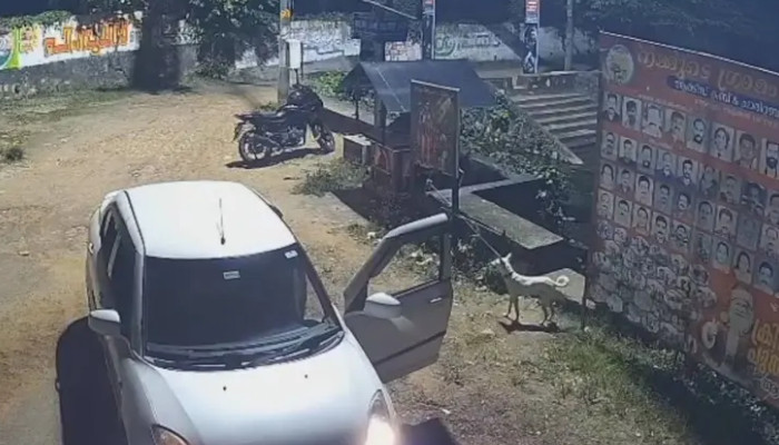 നായയെ കാറില്കൊണ്ടുവന്ന് തെരുവിലിറക്കിവിട്ടു, പിന്നാലെ കരഞ്ഞോടിയ നായയെ കാര് പിന്നിലേക്കെടുത്ത് ഇടിച്ചുകൊന്നു, വാഹനം ഇടിപ്പിച്ചത് നിരവധി തവണ