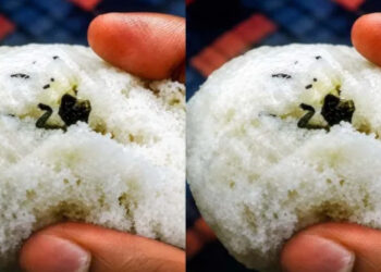 ബ്രെഡിനുള്ളില് നിറയെ ചത്ത പല്ലികള്, കഴിച്ചയാള്ക്ക് ചര്ദ്ദി, ബേക്കറി ഉടമയ്ക്കെതിരെ നടപടിയുമായി കോര്പറേഷന്