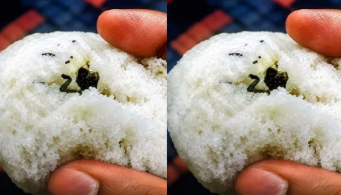 ബ്രെഡിനുള്ളില് നിറയെ ചത്ത പല്ലികള്, കഴിച്ചയാള്ക്ക് ചര്ദ്ദി, ബേക്കറി ഉടമയ്ക്കെതിരെ നടപടിയുമായി കോര്പറേഷന്