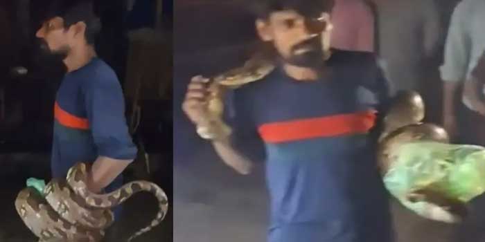 അടിച്ചു പാമ്പായാൽ മലമ്പാമ്പിനെ എങ്ങനെ തിരിച്ചറിനാലേ… ആടിനെ വിഴുങ്ങൾ ഇറച്ചിക്കടയിൽ നുഴഞ്ഞുകയറി 15 അടി നീളമുള്ള കൂറ്റൻ മലമ്പാമ്പ്, പരിഭ്രാന്തരായി എല്ലാവരും ഇറങ്ങിയോടിയപ്പോൾ പുഷ്പം പോലെ പാമ്പിനെ കയ്യിലെടുത്ത് മാലപോലെ കഴുത്തിൽ ചുറ്റി യുവാവ്- വീഡിയോ