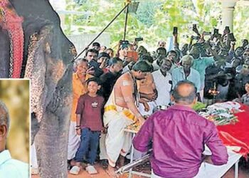 34 വർഷം മുൻപ് 9 പേരെ തുമ്പിക്കൈയിൽ കുരുക്കിയ ‘തലതീനി പാറു’ എത്തി, ഒരു നാട് മുഴുവൻ ഭീതിയോടെ നോക്കിയ തന്നെ ഇന്നുകാണുന്ന ‘വെൺമണി പാറു’വാക്കിയ തമ്പിയാശാനെ അവസാനമായി ഒരുനോക്ക് കാണാൻ…, അവളുടെ കണ്ണുകൾ നിറഞ്ഞൊഴുകി, തുമ്പിക്കൈ കൊണ്ട് പൂവിട്ടു തൊഴുതു, അരമണിക്കൂറോളം ഒരേ നിൽപ് നിന്ന ശേഷം അവൾ തിരിഞ്ഞു നടന്നു