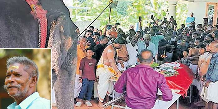 34 വർഷം മുൻപ് 9 പേരെ തുമ്പിക്കൈയിൽ കുരുക്കിയ ‘തലതീനി പാറു’ എത്തി, ഒരു നാട് മുഴുവൻ ഭീതിയോടെ നോക്കിയ തന്നെ ഇന്നുകാണുന്ന ‘വെൺമണി പാറു’വാക്കിയ തമ്പിയാശാനെ അവസാനമായി ഒരുനോക്ക് കാണാൻ…, അവളുടെ കണ്ണുകൾ നിറഞ്ഞൊഴുകി, തുമ്പിക്കൈ കൊണ്ട് പൂവിട്ടു തൊഴുതു, അരമണിക്കൂറോളം ഒരേ നിൽപ് നിന്ന ശേഷം അവൾ തിരിഞ്ഞു നടന്നു