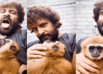 വംശനാശഭീഷണി നേരിടുന്ന കുരങ്ങിനൊപ്പം വിക്രമിന്റെ റീൽ; വിവാദമായതോടെ നീക്കി, മകളുടെ ഭർതൃപിതാവിനെതിരെ വനംവകുപ്പ് അന്വേഷണം