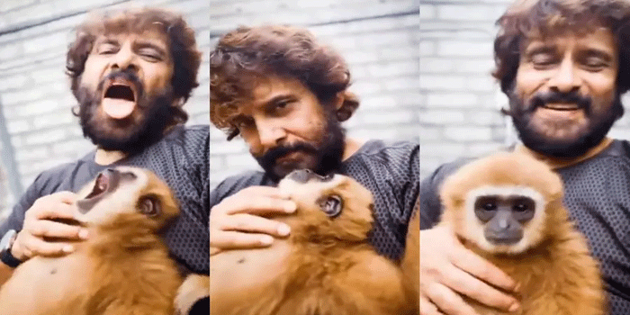 വംശനാശഭീഷണി നേരിടുന്ന കുരങ്ങിനൊപ്പം വിക്രമിന്റെ റീൽ; വിവാദമായതോടെ നീക്കി, മകളുടെ ഭർതൃപിതാവിനെതിരെ വനംവകുപ്പ് അന്വേഷണം
