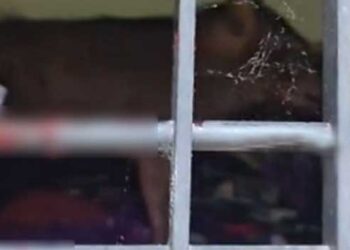 വീട്ടുകാർ അടുക്കള ഭാഗത്ത് സംസാരിച്ചുകൊണ്ടിരിക്കെ വീട്ടിനുള്ളിൽ കട്ടിലിലിരുന്നു കളിച്ചുകൊണ്ടിരുന്ന രണ്ടര വയസുകാരിക്ക് നേരെ പാഞ്ഞടുത്ത് കാട്ടുപന്നി, ഞൊടിയിടയിൽ മുറി പൂട്ടി കുഞ്ഞിനെയെടുത്ത് പുറത്തുചാടി അമ്മാവൻ!! പന്നിയെ വെടിവച്ചുകൊന്നു