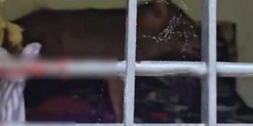 വീട്ടുകാർ അടുക്കള ഭാഗത്ത് സംസാരിച്ചുകൊണ്ടിരിക്കെ വീട്ടിനുള്ളിൽ കട്ടിലിലിരുന്നു കളിച്ചുകൊണ്ടിരുന്ന രണ്ടര വയസുകാരിക്ക് നേരെ പാഞ്ഞടുത്ത് കാട്ടുപന്നി, ഞൊടിയിടയിൽ മുറി പൂട്ടി കുഞ്ഞിനെയെടുത്ത് പുറത്തുചാടി അമ്മാവൻ!! പന്നിയെ വെടിവച്ചുകൊന്നു