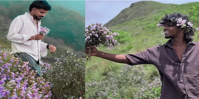 സംരക്ഷിത സസ്യമായ നീലക്കുറിഞ്ഞിയുടെ പൂക്കൾ പറിച്ചെടുത്ത് ഇൻസ്റ്റാഗ്രാം ഫോട്ടോഷൂട്ട്; യുവാക്കൾ പെട്ടു, കേസെടുക്കാനുള്ള നീക്കത്തിൽ വനംവകുപ്പ്