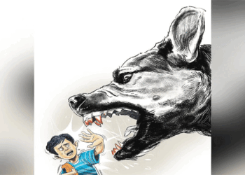 തെരുവുനായയുടെ ആക്രമണം; വീട്ടുമുറ്റത്ത്  കളിക്കുകയായിരുന്ന 11കാരന്റെ കൈവിരലിന്റെ പകുതി കടിച്ചെടുത്തു; കാലിലും ആഴത്തിലുള്ള മുറിവ്