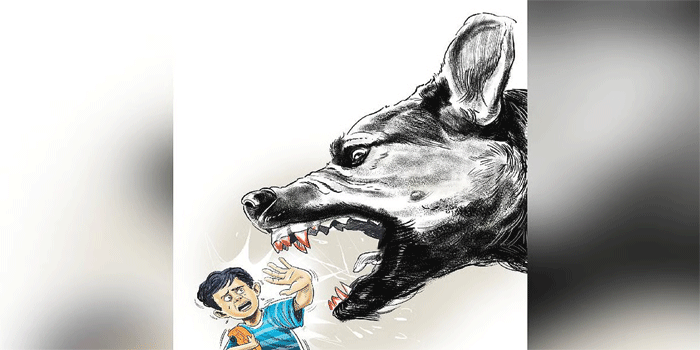തെരുവുനായയുടെ ആക്രമണം; വീട്ടുമുറ്റത്ത് കളിക്കുകയായിരുന്ന 11കാരന്റെ കൈവിരലിന്റെ പകുതി കടിച്ചെടുത്തു; കാലിലും ആഴത്തിലുള്ള മുറിവ്