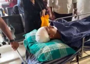 നാദാപുരത്ത് പുലിയുടെ ആക്രമണം രണ്ടുപേർക്ക് പരുക്ക്? യുവാവിന് നേരെ പാഞ്ഞടുത്തത് കാട് വെട്ടിത്തെളിക്കുന്നതിനിടെ നെഞ്ചിലും തലയ്ക്കും സാരമായി പരുക്കേറ്റു