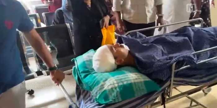 നാദാപുരത്ത് പുലിയുടെ ആക്രമണം രണ്ടുപേർക്ക് പരുക്ക്? യുവാവിന് നേരെ പാഞ്ഞടുത്തത് കാട് വെട്ടിത്തെളിക്കുന്നതിനിടെ നെഞ്ചിലും തലയ്ക്കും സാരമായി പരുക്കേറ്റു