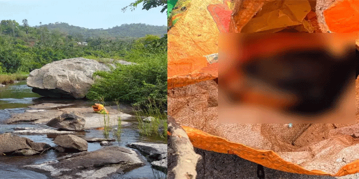 ഭവാനിപ്പുഴയിൽ മൃതദേഹാവശിഷ്ടങ്ങൾ ചാക്കിൽ കെട്ടിയ നിലയിൽ കണ്ടെത്തിയ സംഭവം; ഭാര്യയെയും മകളെയും കൊലപ്പെടുത്തി പുഴയിൽ തള്ളിയതെന്ന് സൂചന,  പ്രതി ബം​ഗാൾ സ്വദേശി, കേരളം വിട്ടതായി പോലീസ്