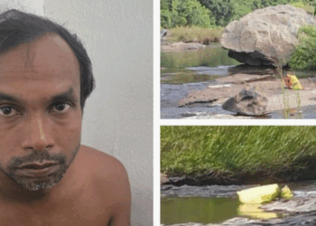 ‘ഗർഭിണിയാണെന്ന സംശയം’; അട്ടപ്പാടിയിൽ യുവതിയെയും നാല് വയസ്സുകാരനെയും കൊലപ്പെടുത്തിയതിന് പിന്നിലെ കാരണം വെളിപ്പെടുത്തി പ്രതി; യുവതിയുടെ ഭർത്താവ് മംഗളൂരുവിലേക്ക് പോയ പിന്നാലെ പ്രതി യുവതിയെയും കുഞ്ഞിനെയും കൂട്ടി കേരളത്തിലേക്ക് വരികയായിരുന്നു
