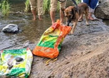 അട്ടപ്പാടിയിൽ അമ്മയേയും കുഞ്ഞിനേയും കൊന്നത് കൊടും ക്രൂരമായി, മരണശേഷവും ആ മൃതദേഹങ്ങളെ വെറുതെ വിട്ടില്ല!! ഭാര്യയെ കൊലപ്പെടുത്തിയത് തലയ്ക്ക് വെട്ടി, കുഞ്ഞിനെ കഴുത്തുഞെരിച്ചും… മരണശേഷം കഴുത്തറുത്ത് ശരീരഭാ​ഗങ്ങൾ കഷ്ണങ്ങളാക്കി- പോസ്റ്റുമോർട്ടം റിപ്പോർട്ട്… പ്രതിയും കുടുംബവും അട്ടപ്പാടിയിലെത്തിയത് 20 ദിവസം മുൻപ്