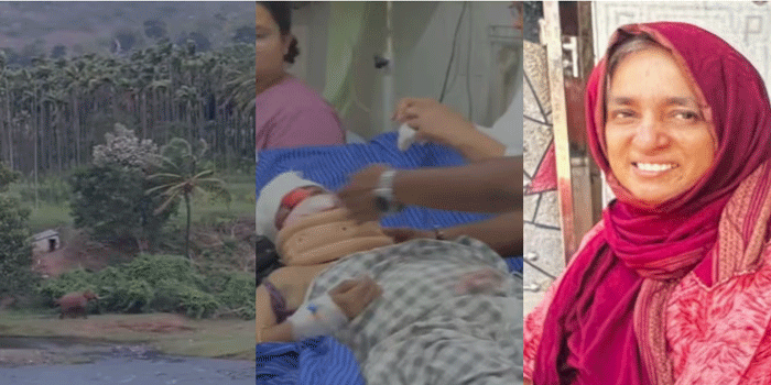 അട്ടപ്പാടിയിൽ കാട്ടാന ആക്രമണം; ഗുരുതരമായി പരിക്കേറ്റ 52കാരി മരിച്ചു; മണ്ണാർക്കാട് നിന്ന് വിനോദ സഞ്ചാരത്തിനെത്തിയതായിരുന്നു; മുന്നറിയിപ്പ് നൽകിയിട്ടും ആനയെ കാണാനായി ഭവാനിപ്പുഴയിൽ ഇറങ്ങിയതിനു പിന്നാലെയാണ് അപകടം