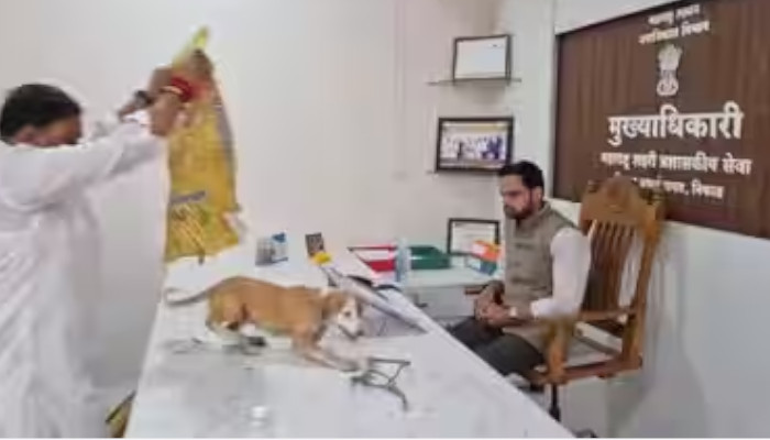 തെരുവുനായ്ക്കള് കാരണം പുറത്തിറങ്ങാന് കഴിയുന്നില്ല, നടപടിയെടുക്കാതെ നഗരസഭ, ചീഫ് ഓഫിസറുടെ മുറിയിലേക്ക് നായകളെ തുറന്നുവിട്ട് പ്രതിഷേധം