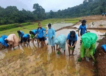 പേനയ്ക്കും പെൻസിലിനുമൊപ്പം തൂമ്പയും കൂടി എടുക്കാൻ റെഡിയായിക്കോളൂ; ‘കൃഷി ചെയ്യുന്ന വിദ്യാർഥികൾക്ക് ഗ്രേസ് മാർക്ക് നല്കും ; എല്ലാ സ്കൂളുകളിലും കതിർ ക്ലബ്’: കൃഷിവകുപ്പ് മന്ത്രി ടി. സിദ്ദിഖ്