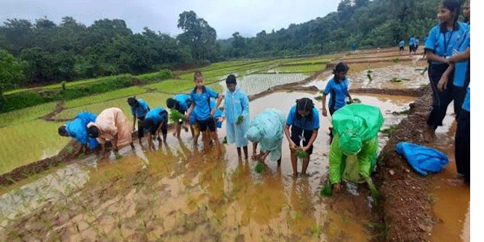 പേനയ്ക്കും പെൻസിലിനുമൊപ്പം തൂമ്പയും കൂടി എടുക്കാൻ റെഡിയായിക്കോളൂ; ‘കൃഷി ചെയ്യുന്ന വിദ്യാർഥികൾക്ക് ഗ്രേസ് മാർക്ക് നല്കും ; എല്ലാ സ്കൂളുകളിലും കതിർ ക്ലബ്’: കൃഷിവകുപ്പ് മന്ത്രി ടി. സിദ്ദിഖ്