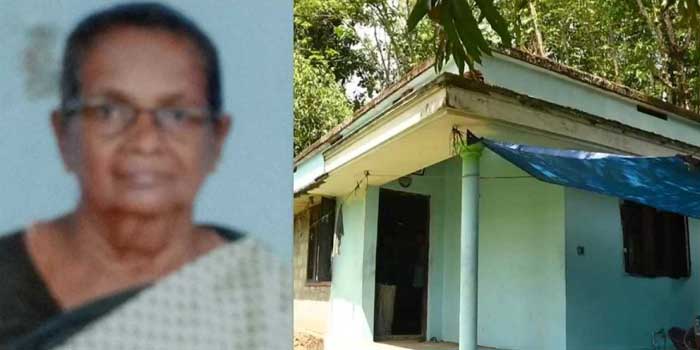 ഭാര്യ ഉപേക്ഷിച്ച് പോയി, കിടപ്പ് രോ​ഗിയായ അമ്മ സ്വൈര്യ ജീവിതത്തിനു തടസം, പരിചരിച്ച് മടുത്തു!! വയോധികയെ മകൻ തലയിണ മുഖത്തമർത്തി ശ്വാസം മുട്ടിച്ചു കൊന്നു, പിന്നാലെ സ്വാഭാവിക മരണമെന്ന് വരുത്തി തീർക്കാൻ ശ്രമം, കൊലപാതകം വീട്ടിലെ മറ്റ് അം​ഗങ്ങൾ പുറത്തുപോയ നേരത്ത്- 48 കാരൻ അറസ്റ്റിൽ