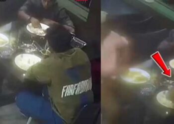 എല്ലാം നോക്കിക്കണ്ട് ചുമരിൽ ‘ഒറ്റക്കണ്ണൻ’… കിട്ടിയ ഭക്ഷണം മൂക്കുമുട്ടെ തട്ടി, ഏമ്പക്കവും വിട്ട ശേഷം പോക്കറ്റിൽ നിന്ന് വണ്ടിനെയെടുത്ത് നൈസായി പാത്രത്തിലിട്ടിട്ട് ബഹളം… ഭക്ഷ്യസുരക്ഷാ ഉദ്യോഗസ്ഥരെത്തി ഹോട്ടൽ അടച്ചുപൂട്ടി, രണ്ടു ലക്ഷം രൂപ നഷ്ടപരി​ഹാരം വേണമെന്ന് ആവശ്യം!! സിസിടിവി ദൃശ്യം അടക്കം പോലീസിൽ പരാതി നൽകി ഉടമ