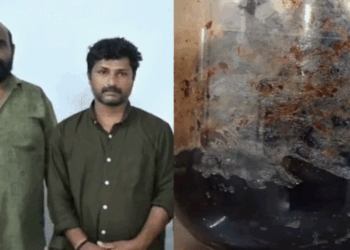 കോവളത്ത് കടൽവെള്ളരി വിൽക്കാൻ ശ്രമം; രണ്ടുപേർ അറസ്റ്റിൽ;പിടിച്ചെടുത്തത് എൺപതോളം കടൽവെള്ളരികൾ; വന്യജീവി സംരക്ഷണ നിയമത്തിലെ ഒന്നാം പട്ടികയിൽ ഉൾപ്പെടുത്തിയിട്ടുള്ളതിനാൽ കൈവശം വയ്ക്കുന്നതും വിൽപ്പന നടത്തുന്നതും നിയമവിരുദ്ധം