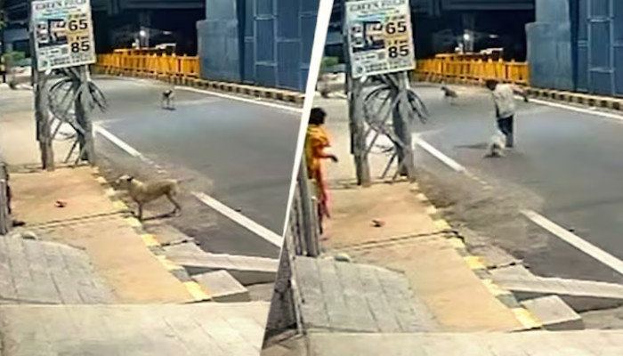 അര്‍ധ രാത്രി മാനസിക വെല്ലുവിളി നേരിടുന്ന സ്ത്രീയെ പീഡിപ്പിക്കാന്‍ ശ്രമിച്ചു, പ്രതിയെ കടിച്ചുകീറി തെരുവുനായ്ക്കള്‍